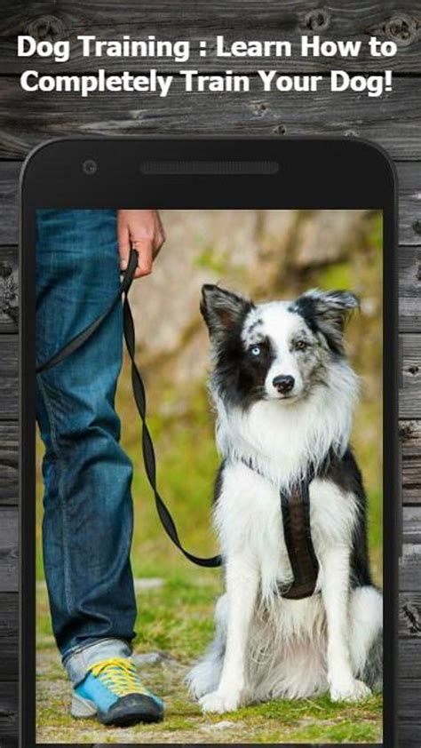 Dog Training Guide for Android - Download