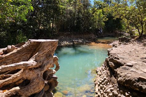 How to get to the Cardwell Spa Pool & What it looks like now