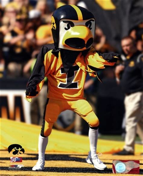 Herky the Hawk, the University of Iowa Hawkeyes Mascot Fine Art Print by Unknown at ...