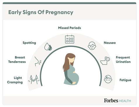 10 Early Signs And Symptoms Of Pregnancy (2023)