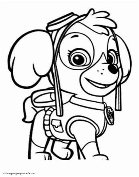 47+ Paw Patrol Coloring Pages For Kids Printable Background - COLORIST