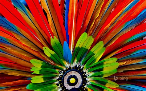 Feathers from the headdress of an Aztec dancer in Plaza de la Constitución in Mexico City ...