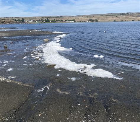 Dept. of Ecology to host water webinars | Columbia Basin Herald