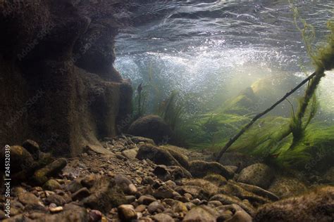 Rocks underwater on riverbed with clear freshwater. River habitat. Underwater landscape ...