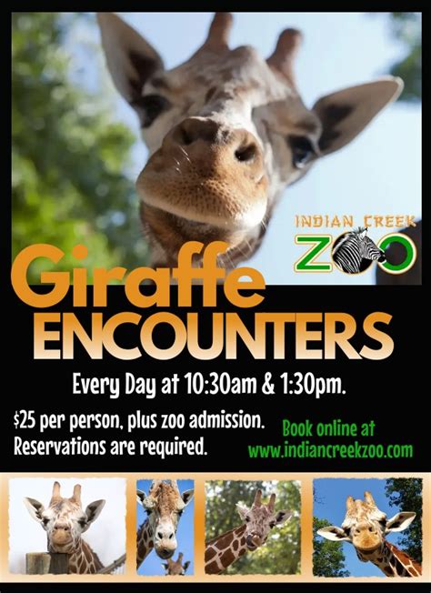 Encounters – Indian Creek Zoo