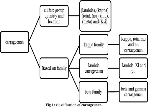 [PDF] CARRAGEENAN: EXTRACTION AND ITS APPLICATION | Semantic Scholar