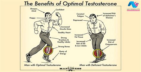 Low Testosterone Hormone Archives