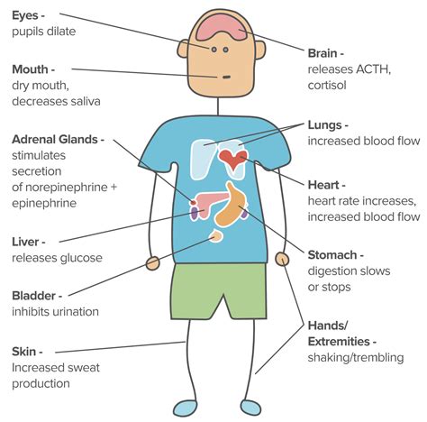 Post Traumatic Stress Symptoms