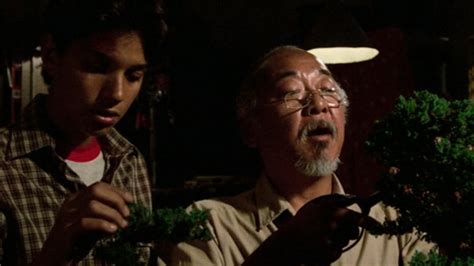 The Untold Truth Of Mr. Miyagi From The Karate Kid