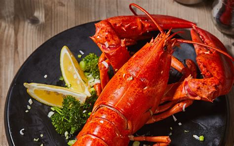 5 Snappy Tips for How to Ship Lobster - The Packaging Company