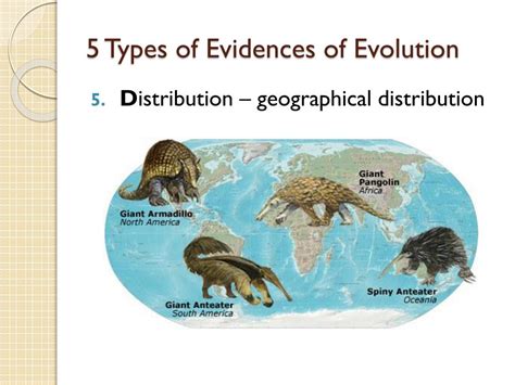 Evidence For Evolution Includes