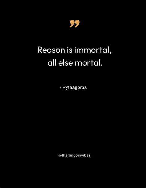 60 Pythagoras Quotes on Mathematics, Harmony & Universe – The Random Vibez