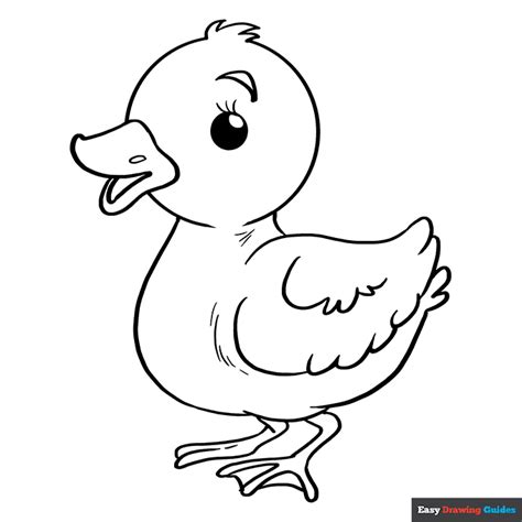 Baby Duck Coloring Page | Easy Drawing Guides