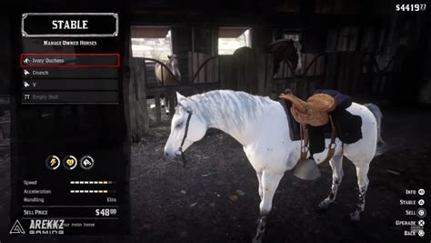 Red Dead Redemption 2: how to get the best wild horse | VG247