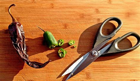 5 Uses For Kitchen Scissors - Garden