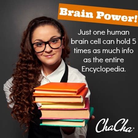 Fun fact about the human brain! | Fun facts, Weird facts, Human brain