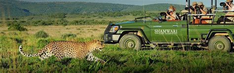 A Comprehensive Guide To South African Tours - Shamwari