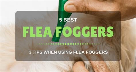 Best Flea Fogger for Home & House on The Market 2018 Reviews