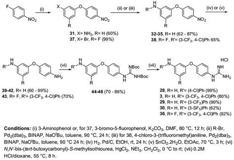 Scheme 2. Preparation of 3-amino,4'-guanidine diphenyl ether derivatives. | Download Scientific ...