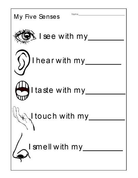 5 Senses Activity Worksheets