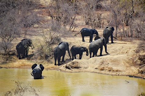 Top National Parks for Safaris in Ghana - BookAllSafaris.com