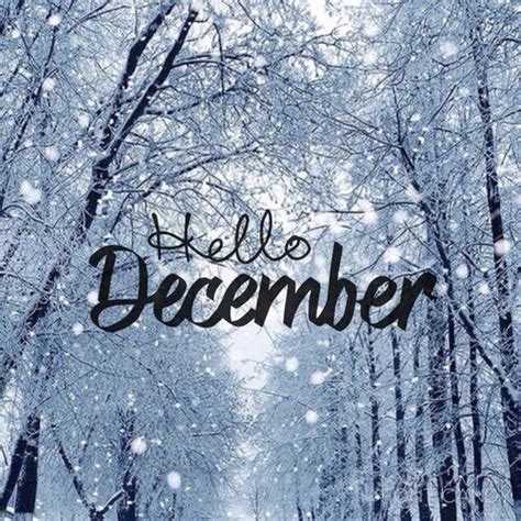 Hello December #Christmas&winter Seasons Months, Days And Months, Months In A Year, 12 Months ...