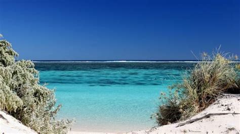 Best Time to Visit Coral Bay in Western Australia - Ready Trek Go