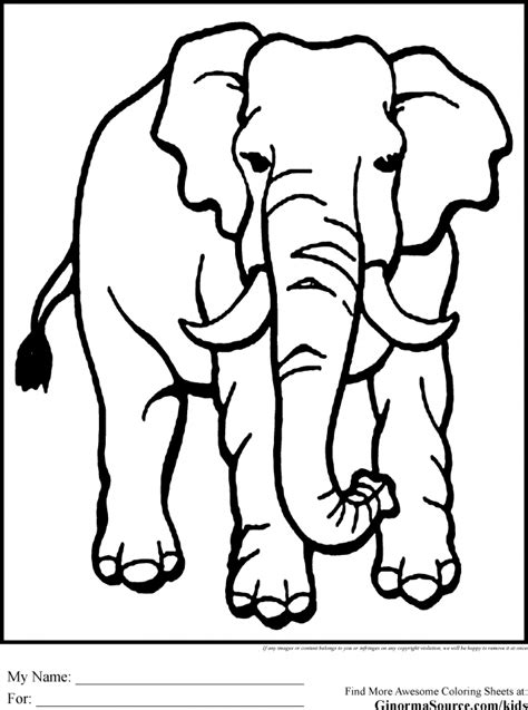 Jungle Animal Printables Playsational Jungle Animal Coloring | Elephant coloring page, Animal ...