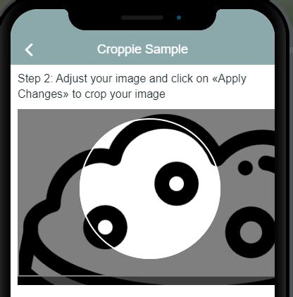 Croppie — Not another cropper component | by Ana Calinhos | Medium