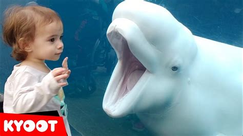 Funny Kids at the Aquarium | Girl SPOOKED By A Beluga Whale! - Feeling ...