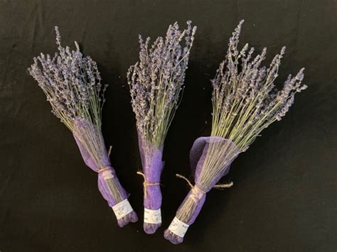 Dried Bouquet of Lavender – Local Farm Food Source