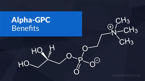 Alpha-GPC: Benefits, Uses, Dosage, and Side Effects - EvidenceLive