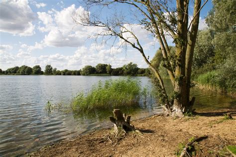 The Cambridgeshire Fens: 'A symbol of human skill and determination ...