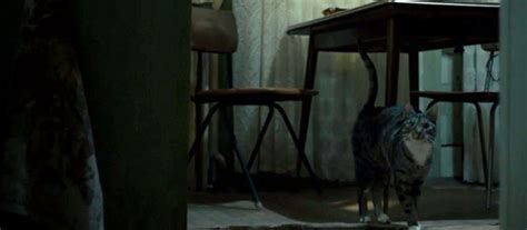 Chernobyl - "1:23:45" and "The Happiness of All Mankind" - Cinema Cats