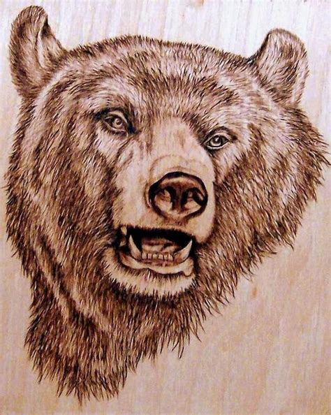 beautiful pyrography bear | Wood burning art, Wood carving patterns, Wood burning patterns