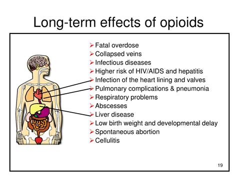 PPT - Section 2: Psychoactive Drugs PowerPoint Presentation, free download - ID:2787691