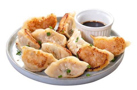 Pan-fried Gyoza Dumpling Jiaozi in a Plate Isolated on White Background ...