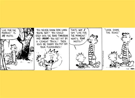 10 Calvin And Hobbes Comics That Sum Up Hobbes As A Character