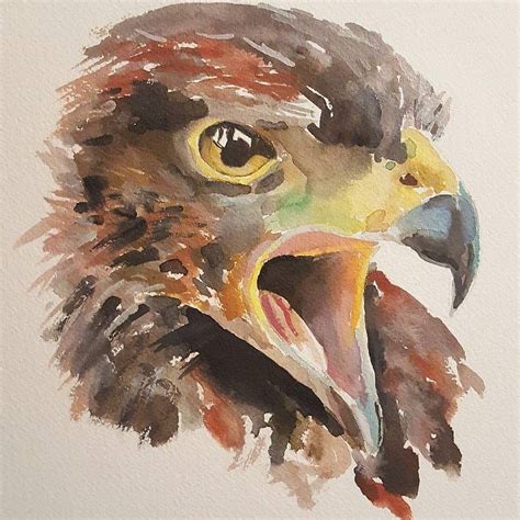 Golden Eagle, Watercolour, 8"x10" Watercolour Art, Watercolor Animals, Deer Head Silhouette ...