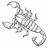 Scorpion Coloring Page sketch template