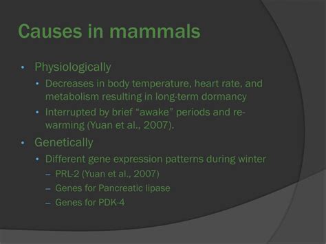 PPT - The Evolution of Hibernation in Mammals PowerPoint Presentation, free download - ID:6765520