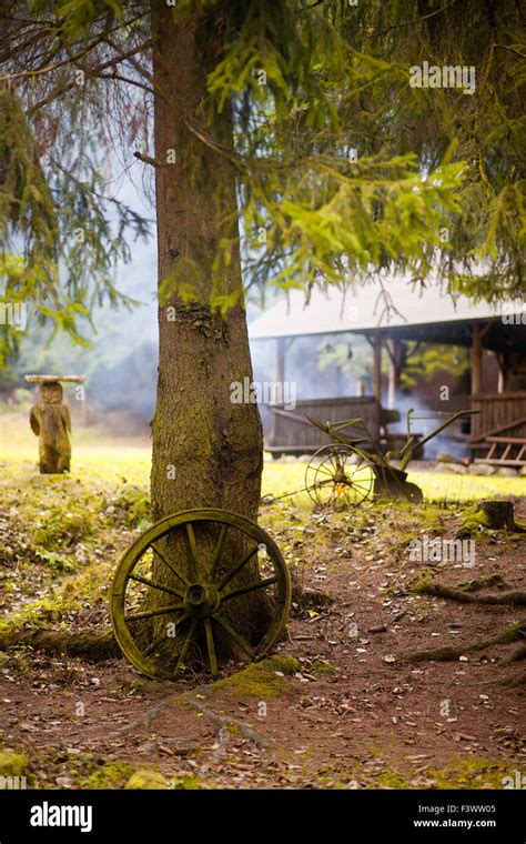 Old wagon wheel on the tree Stock Photo - Alamy