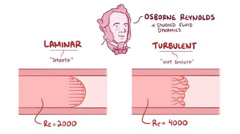 Laminar flow and Reynolds number: Video & Anatomy | Osmosis