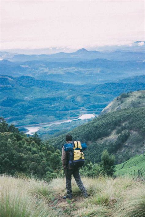 Trekking in Munnar | Treks, Routes, Best Time