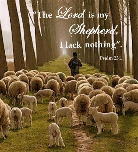 Psalm 23:1-4 // The Lord is my Shepherd to feed, guide, and shield me, I shall not lack anything ...