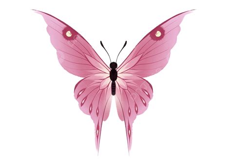 Pink Butterfly White Background