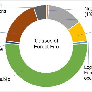 (PDF) Impact of Forest Fire on Forest Ecosystem