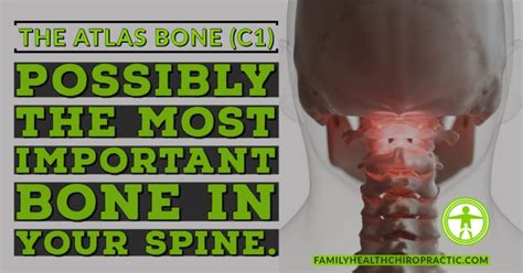 What is The Atlas Bone? | Family Health Chiropractic