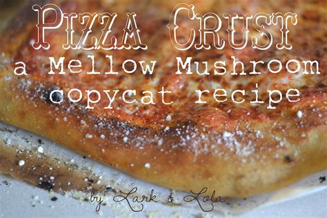 Favorite Pizza Crust Recipe | A Mellow Mushroom Copycat! | Holy ...