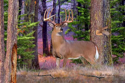 Whitetail Deer Art Print - North Woods Whitetails Painting by Dale Kunkel Art | Fine Art America